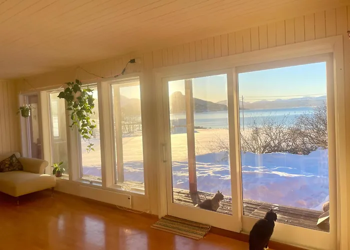 Дом отдыха Aurora House *